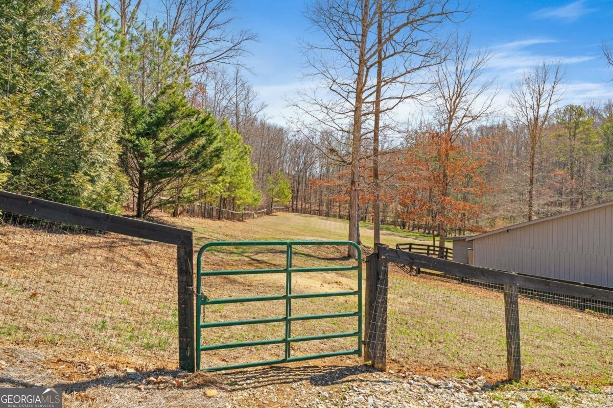 1160 Glen Wilkie Trail Ball Ground - Photo 65