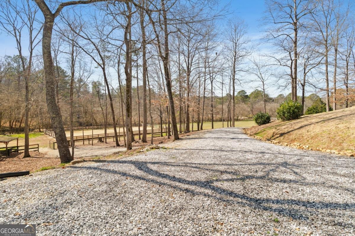 1160 Glen Wilkie Trail Ball Ground - Photo 68