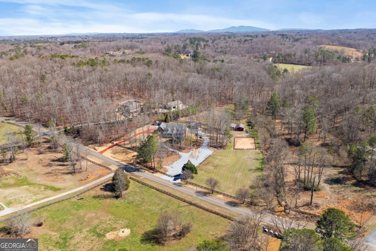 1160 Glen Wilkie Trail Ball Ground - Photo 75