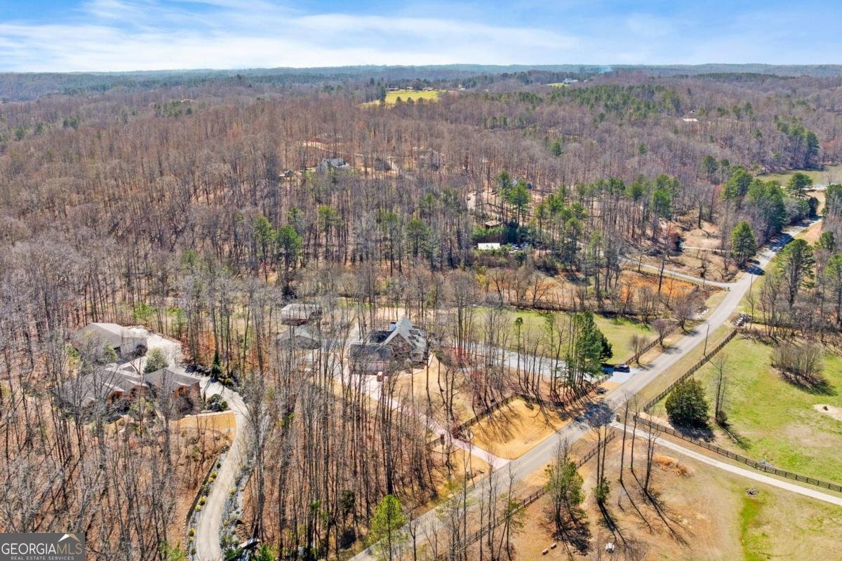 1160 Glen Wilkie Trail Ball Ground - Photo 76