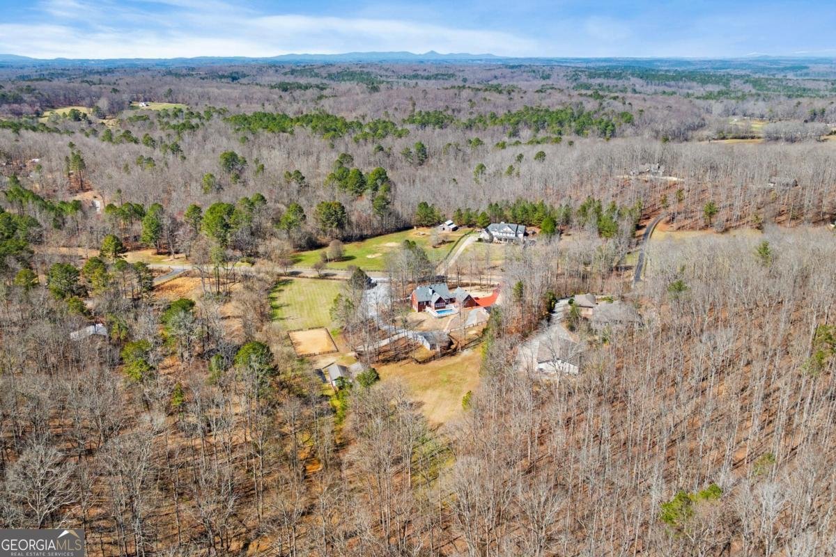 1160 Glen Wilkie Trail Ball Ground - Photo 77