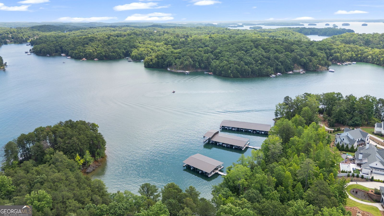 4445 Pebble Rock Drive Cumming - Photo 61