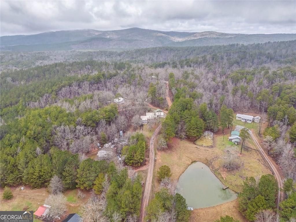 22 Etna Loop Cedartown - Photo 10