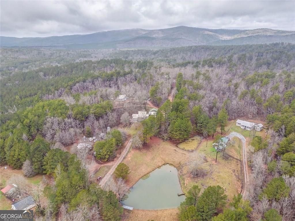 22 Etna Loop Cedartown - Photo 9