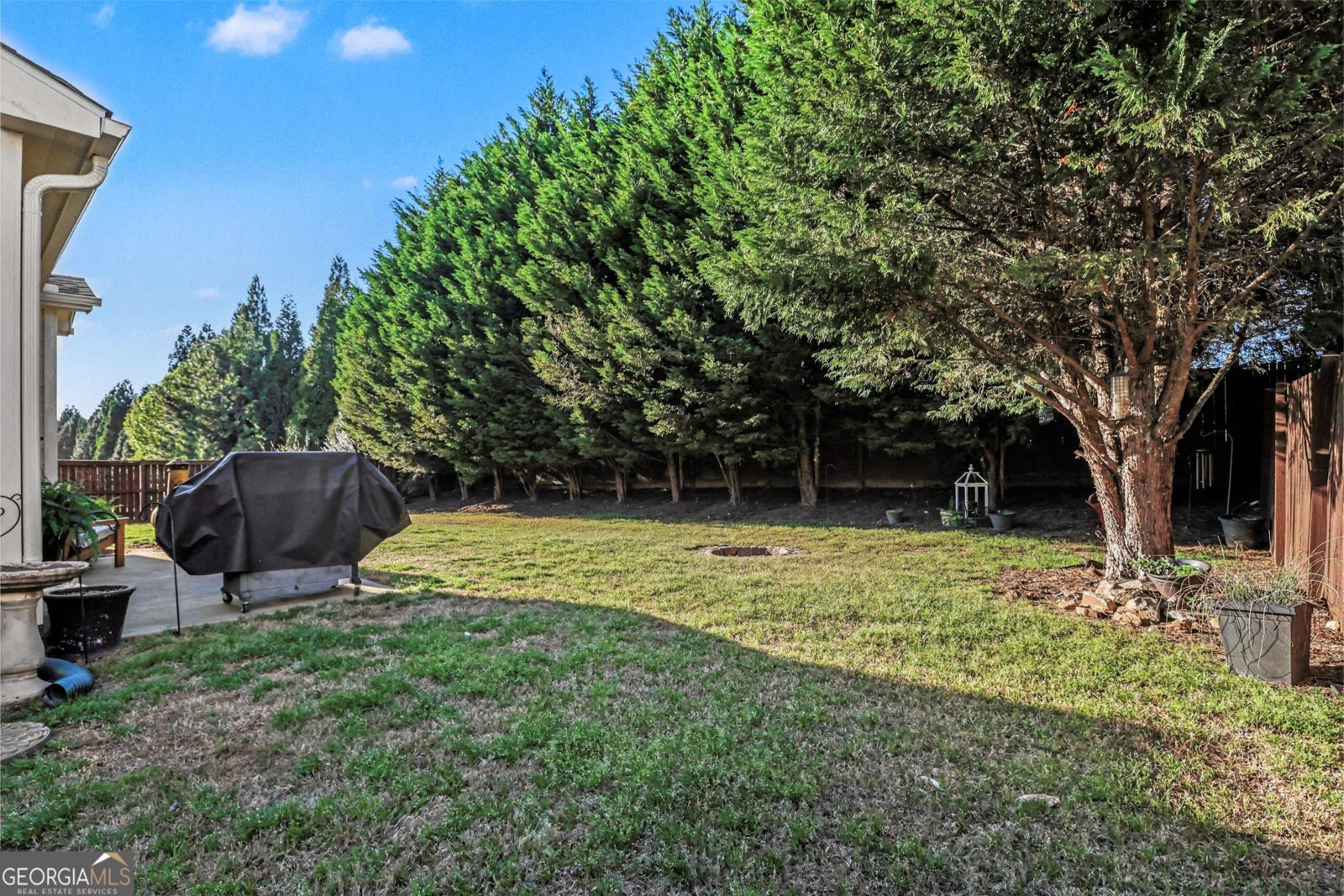 823 Cotton Creek Drive Canton - Photo 27