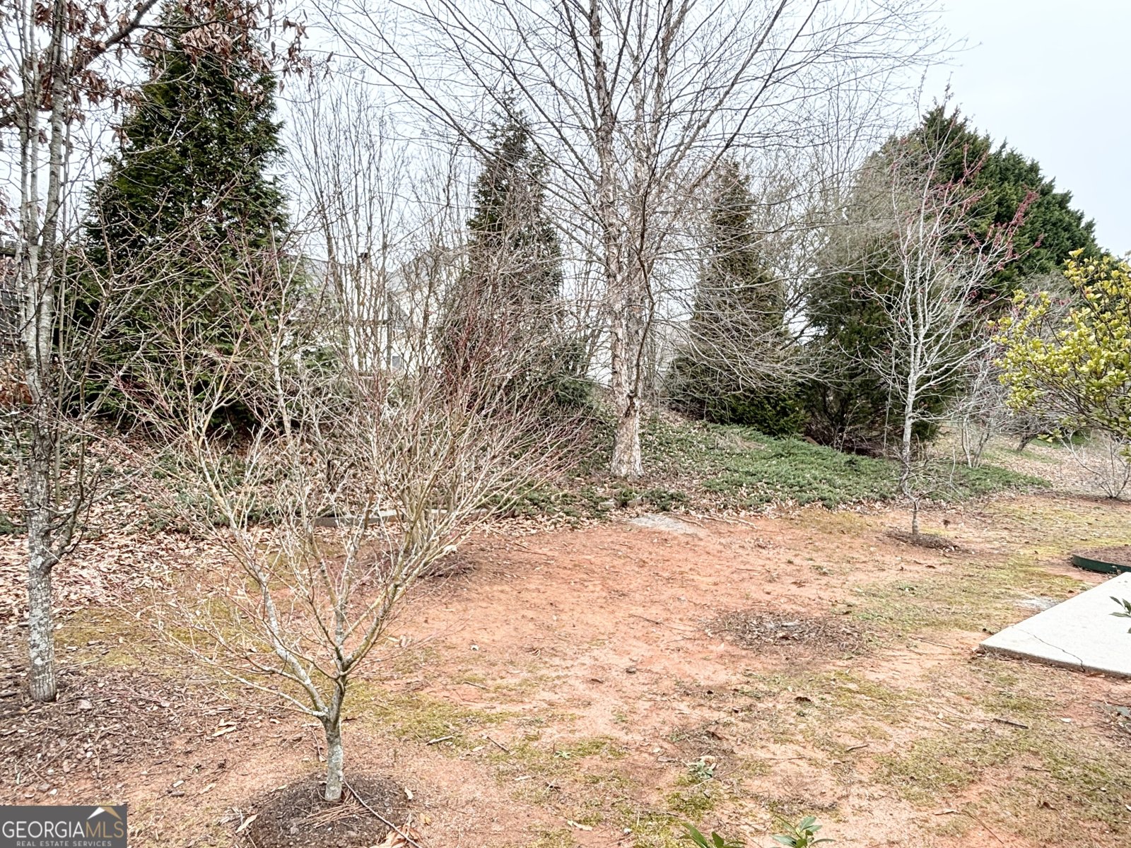 746 Morris Lane Winder - Photo 26