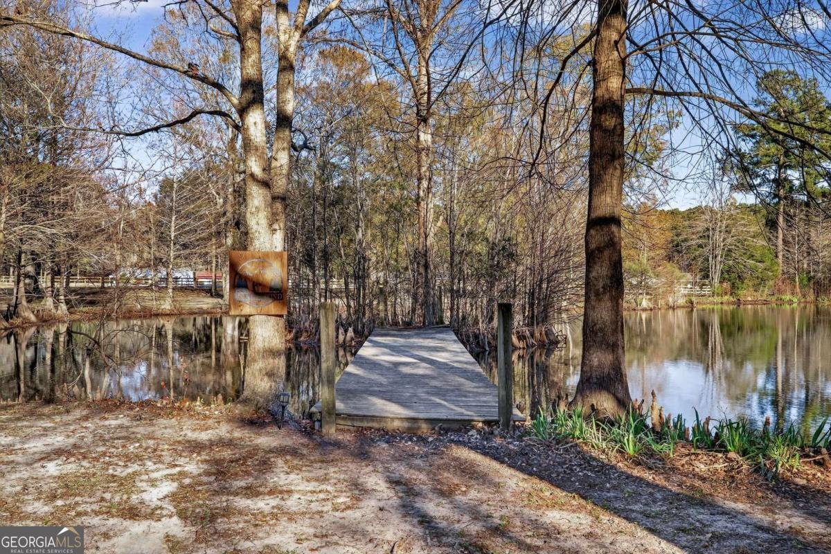 1063 Old Olive Branch Road Ellabell - Photo 68