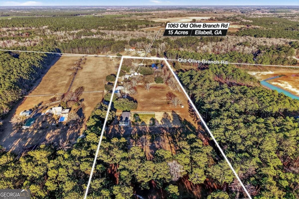 1063 Old Olive Branch Road Ellabell - Photo 71