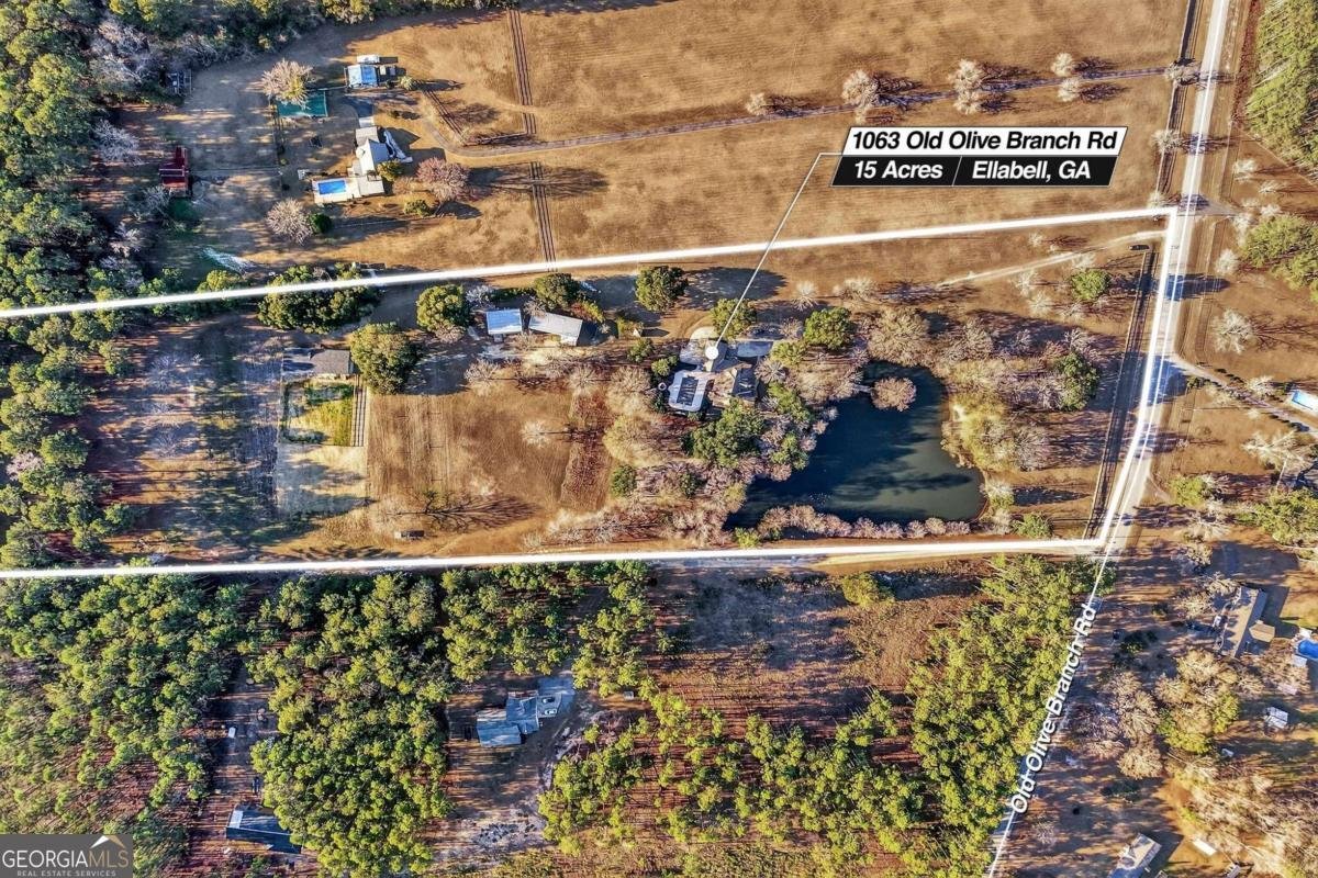 1063 Old Olive Branch Road Ellabell - Photo 9