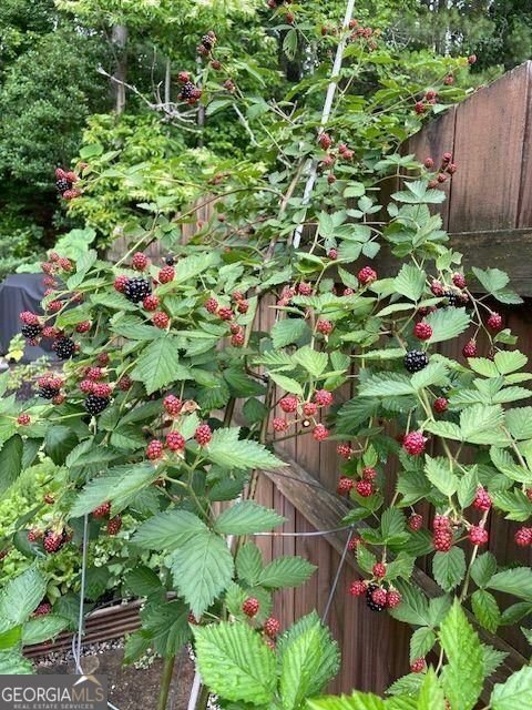 1678 Stilesboro Ridge Drive Kennesaw - Photo 50