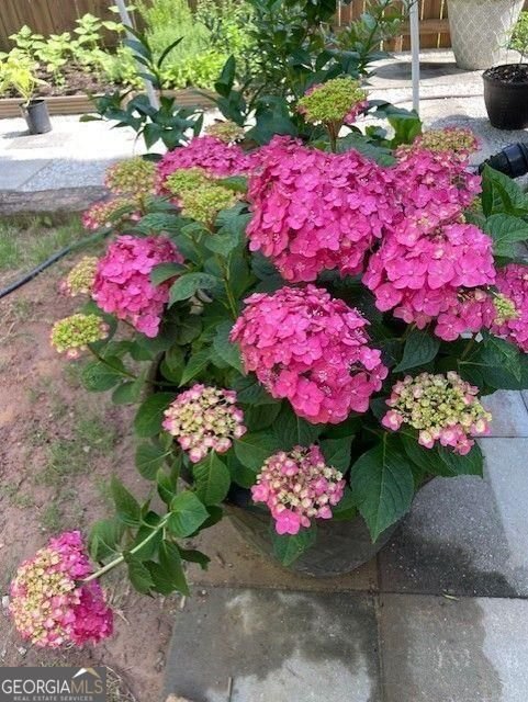 1678 Stilesboro Ridge Drive Kennesaw - Photo 51