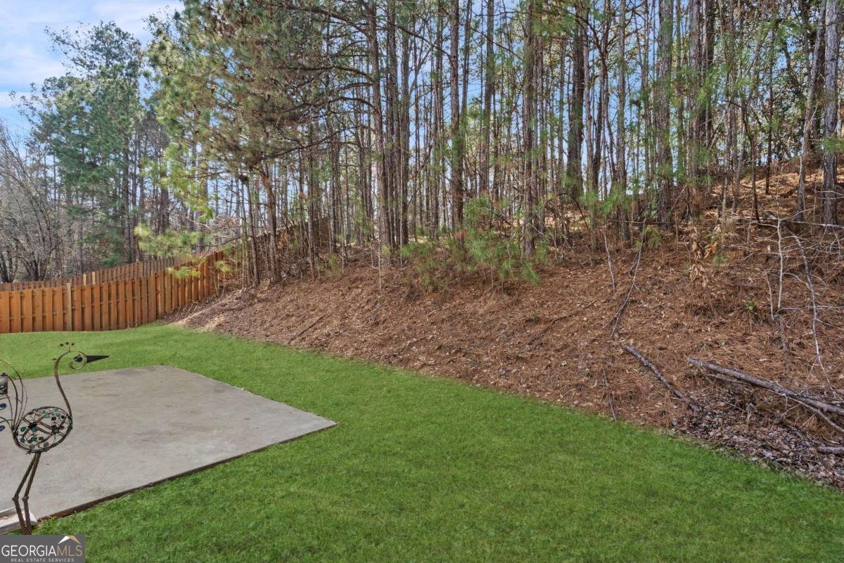 3909 Belmont Ridge Drive Lithonia - Photo 32