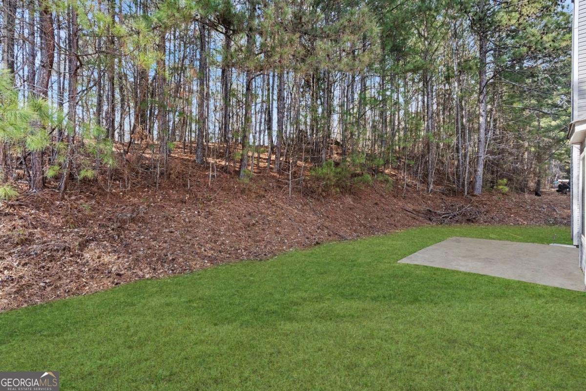 3909 Belmont Ridge Drive Lithonia - Photo 35