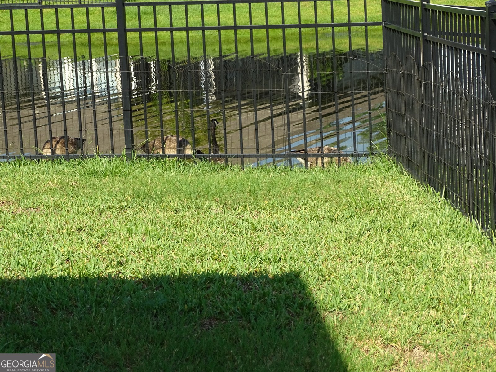 132 Ryan Nicholas Drive Kingsland - Photo 43