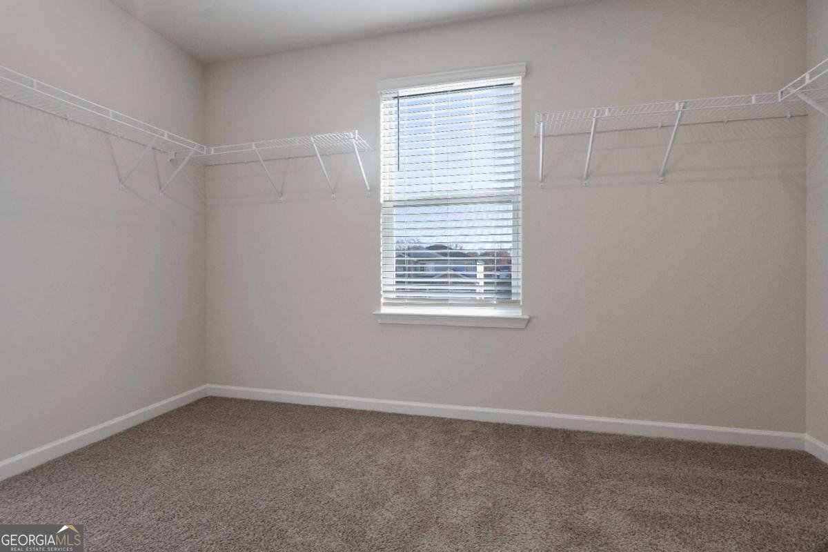 3137 Train Street Buford - Photo 18