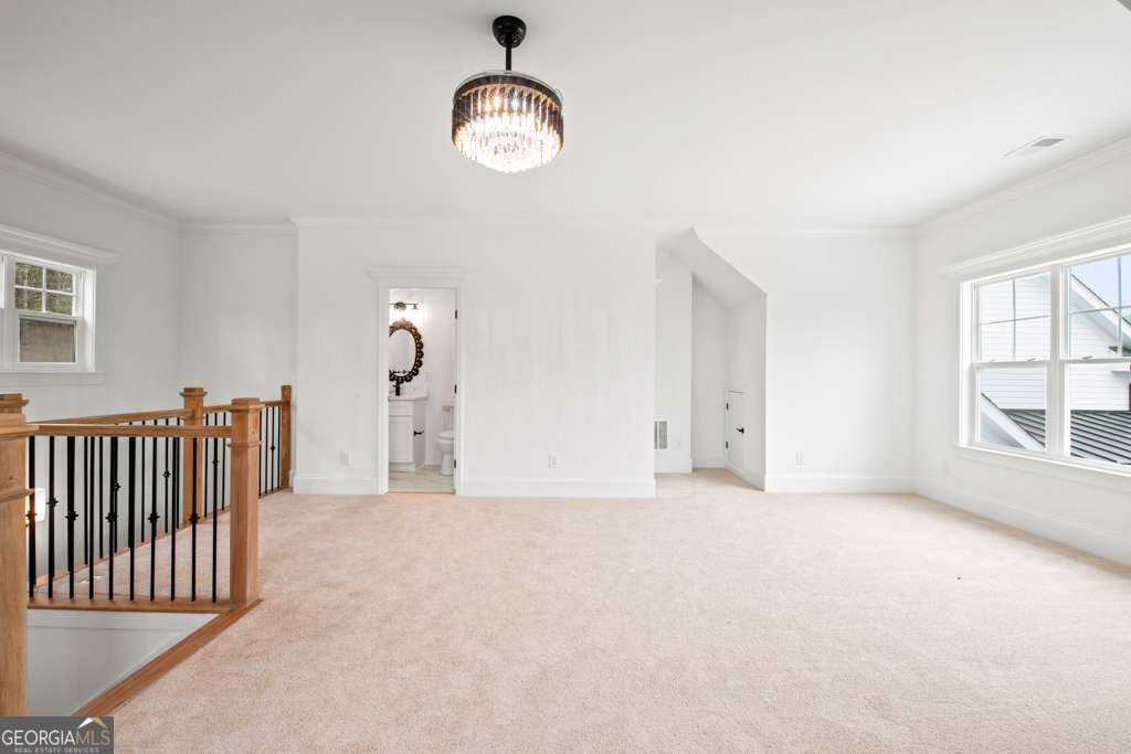 3078 Turning Creek Trail Dacula - Photo 53