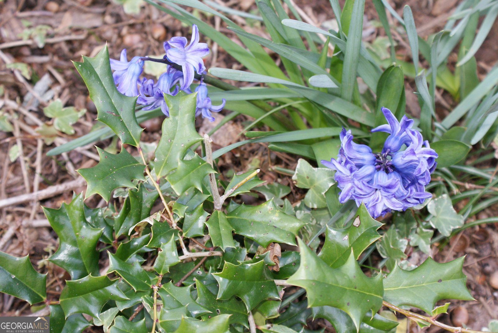 1146 Lakeshore Drive Gainesville - Photo 48