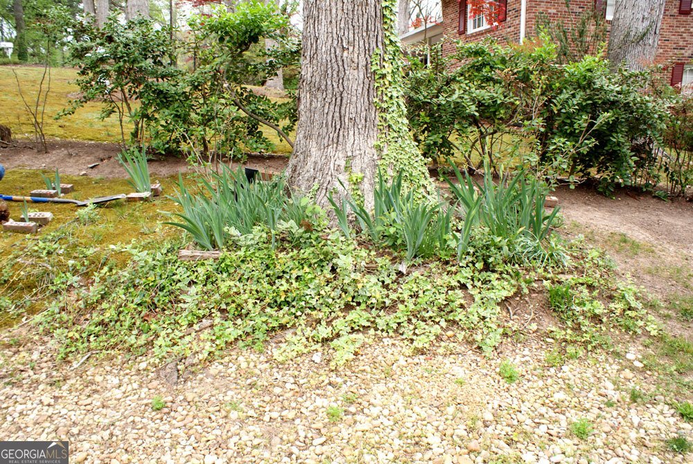 1146 Lakeshore Drive Gainesville - Photo 54