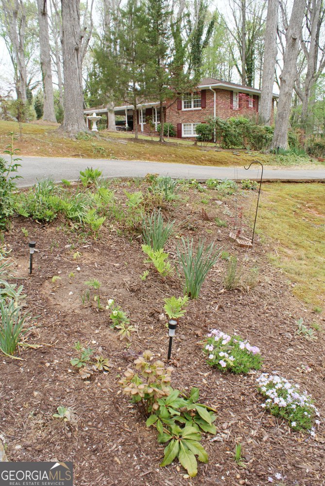 1146 Lakeshore Drive Gainesville - Photo 55