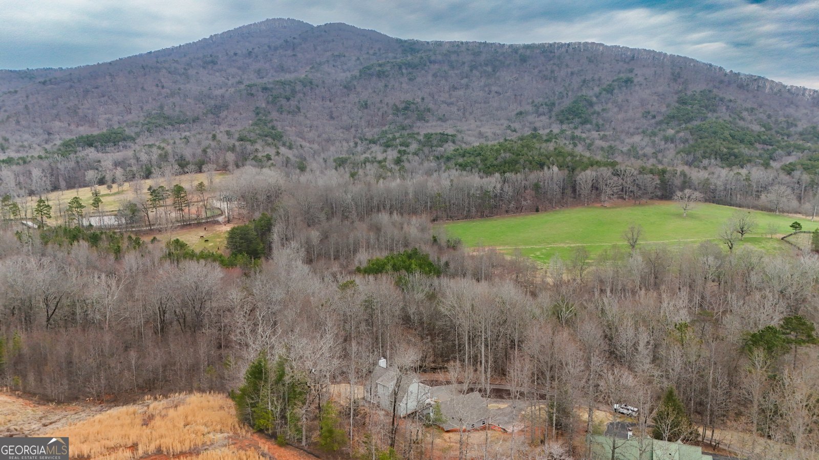 354 Prairie Flower Drive Cleveland - Photo 41