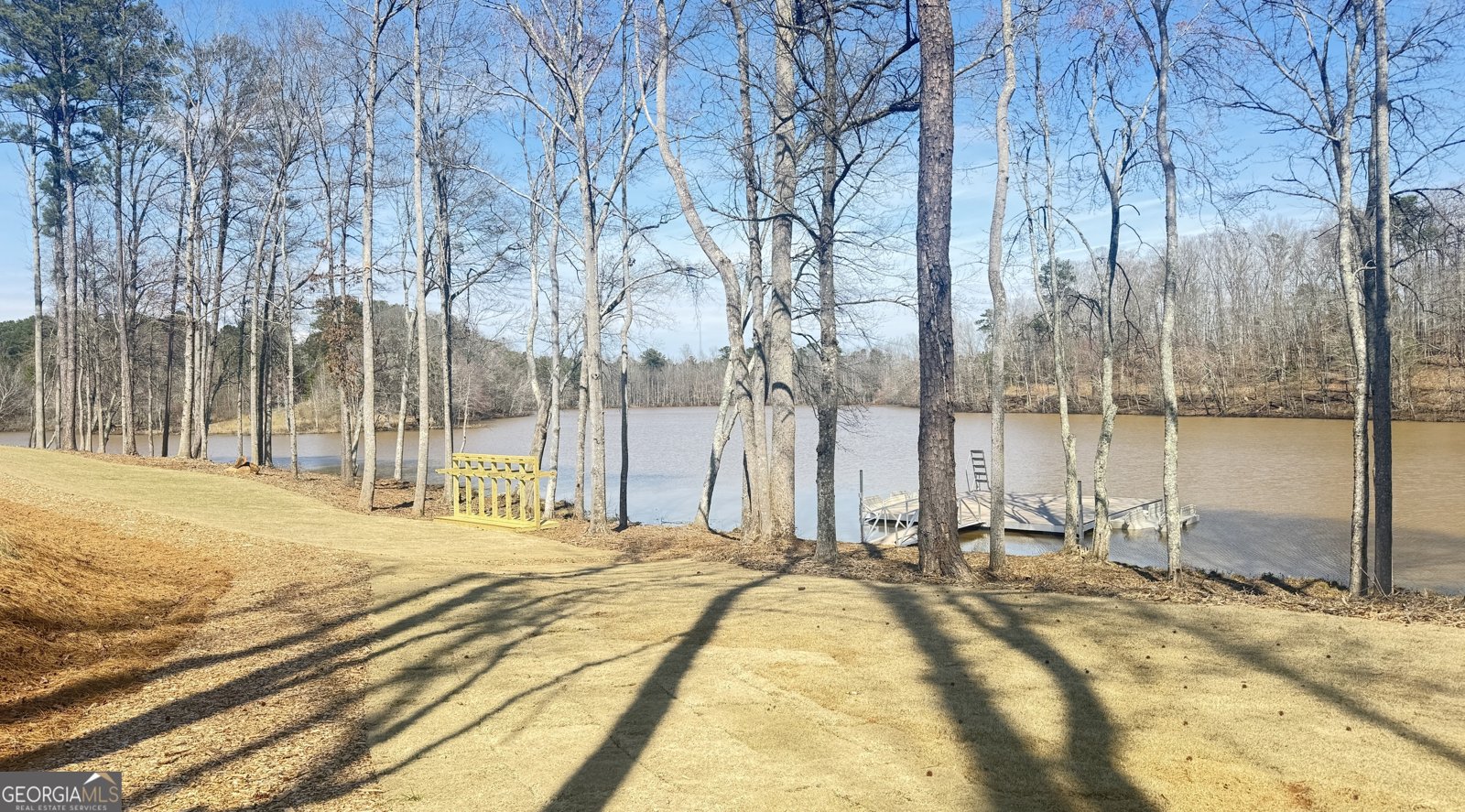 93 Club Cresswind Drive Newnan - Photo 76