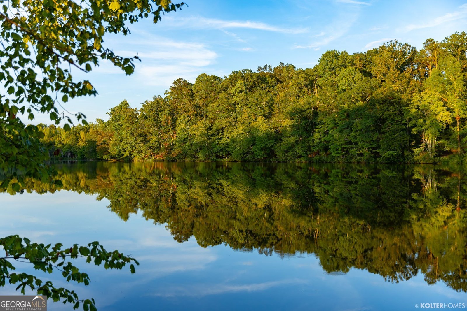 93 Club Cresswind Drive Newnan - Photo 80