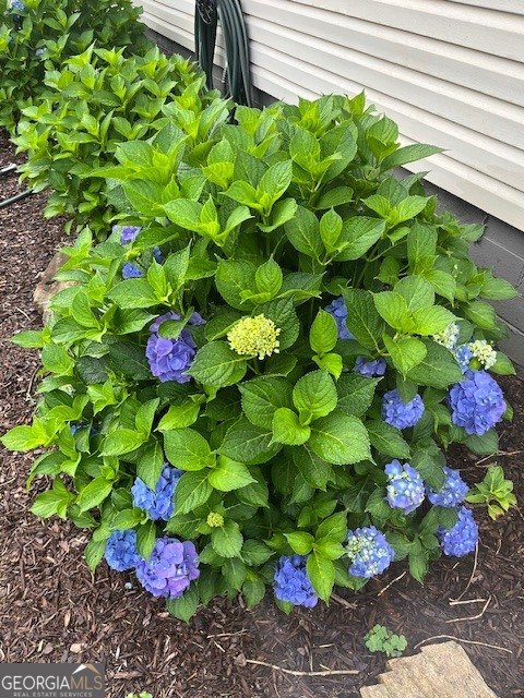 2685 Pineworth Road Macon - Photo 32