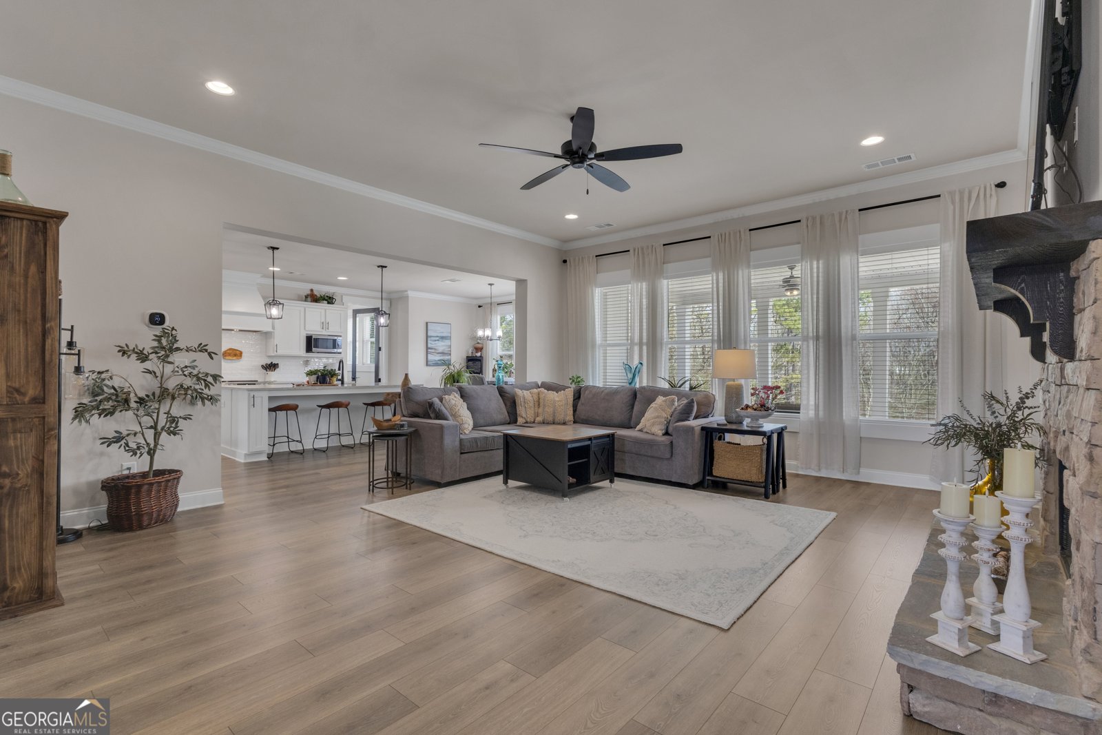 282 Township Drive Senoia - Photo 11