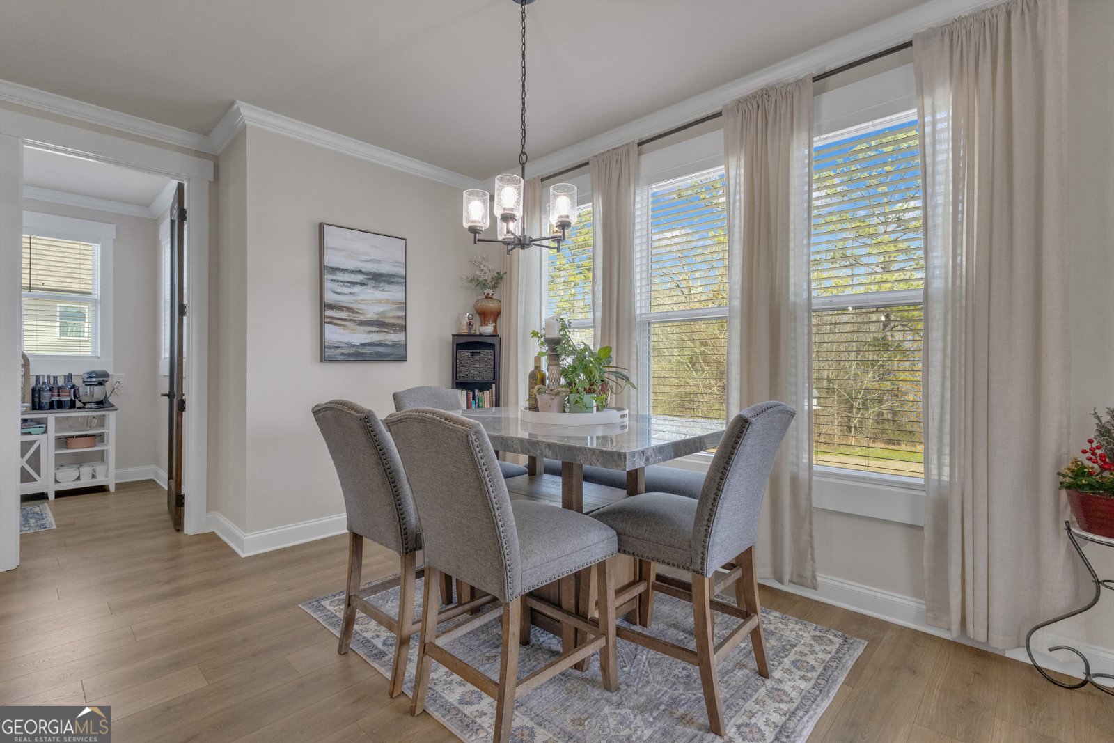 282 Township Drive Senoia - Photo 26