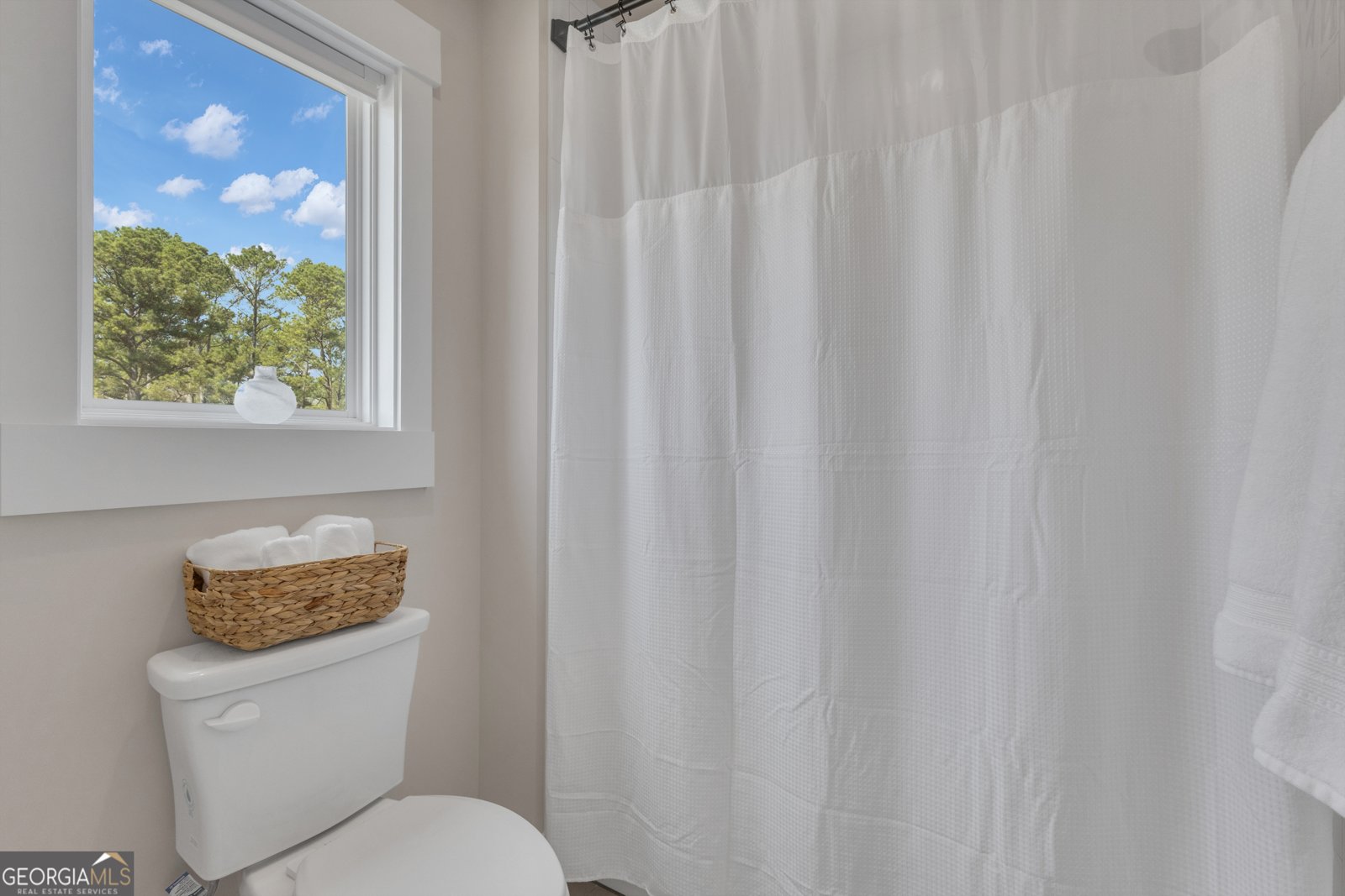 282 Township Drive Senoia - Photo 49