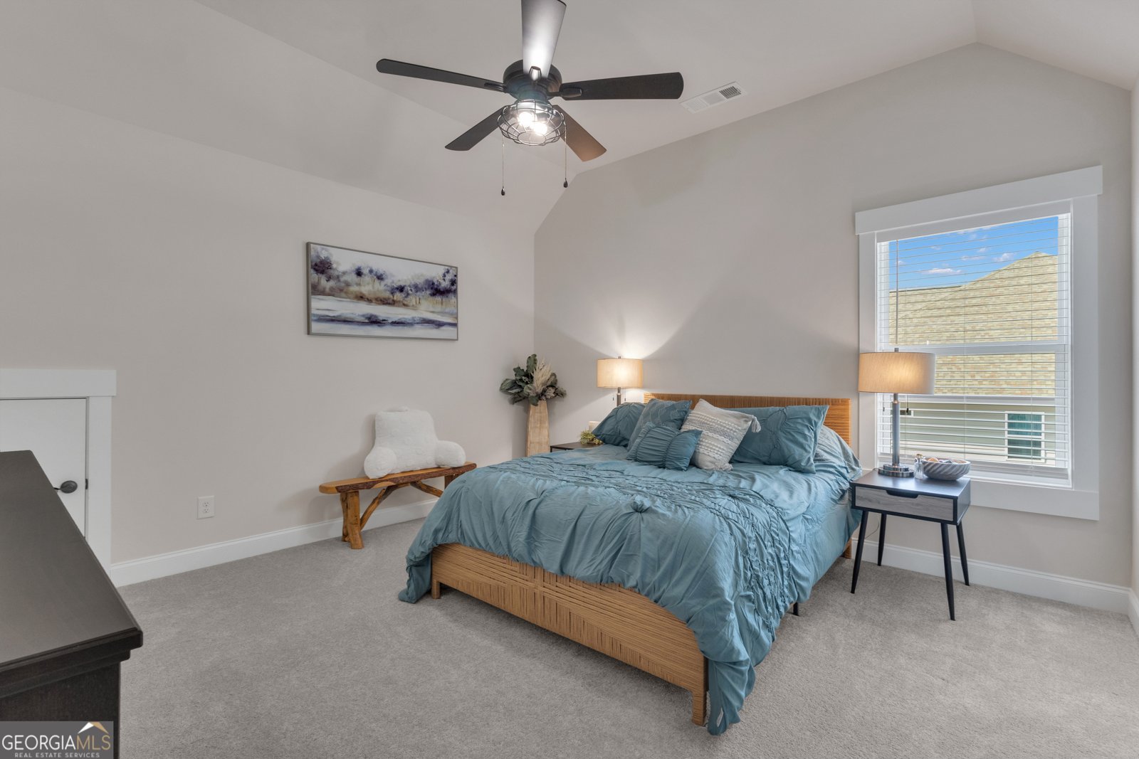 282 Township Drive Senoia - Photo 52