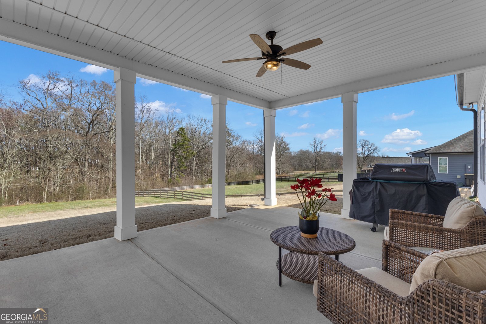 282 Township Drive Senoia - Photo 59