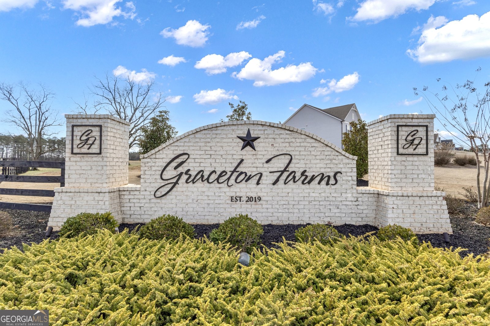 282 Township Drive Senoia - Photo 65