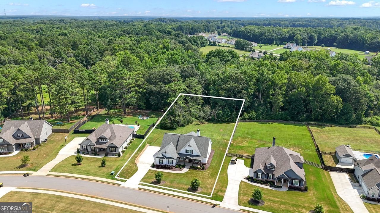 282 Township Drive Senoia - Photo 90