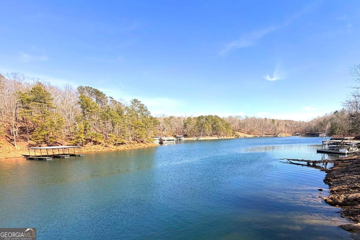 6476 Chestnut Hill Road Flowery Branch - Photo 13