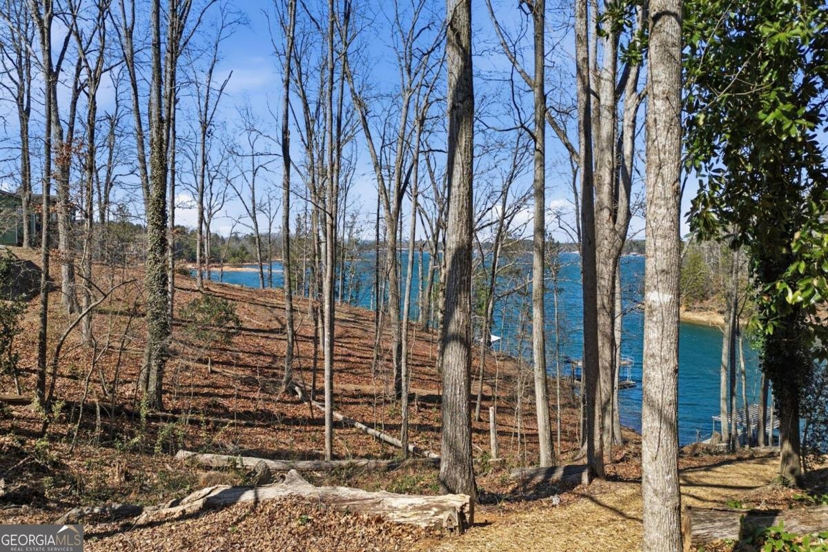 6476 Chestnut Hill Road Flowery Branch - Photo 8