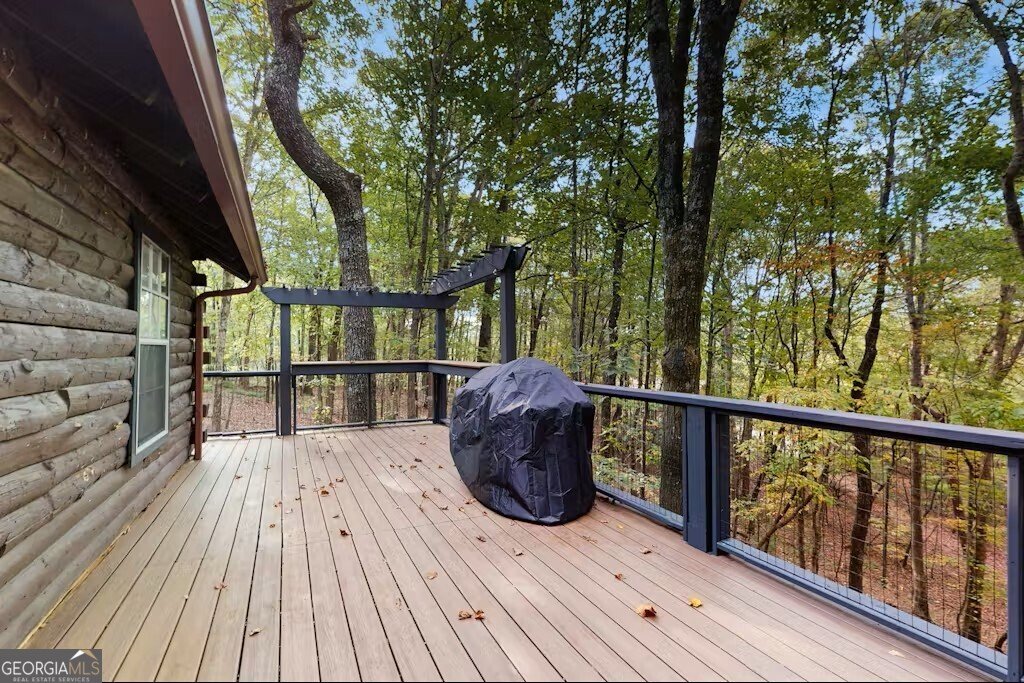 325 PETTIT RIDGE RD ELLIJAY - Photo 25