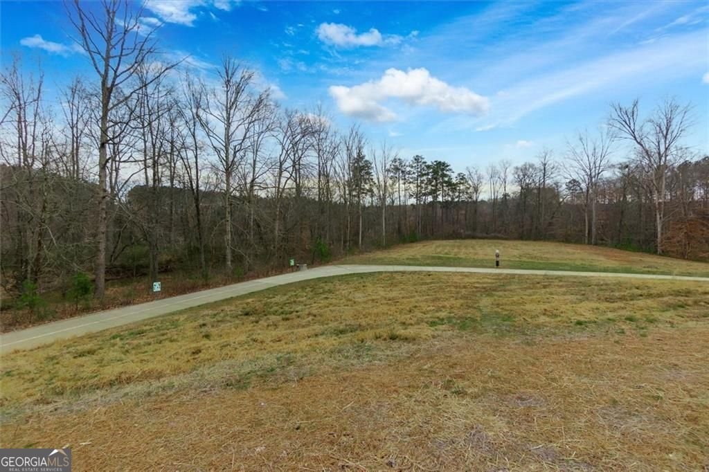 6630 Thicket Aly Alpharetta - Photo 54