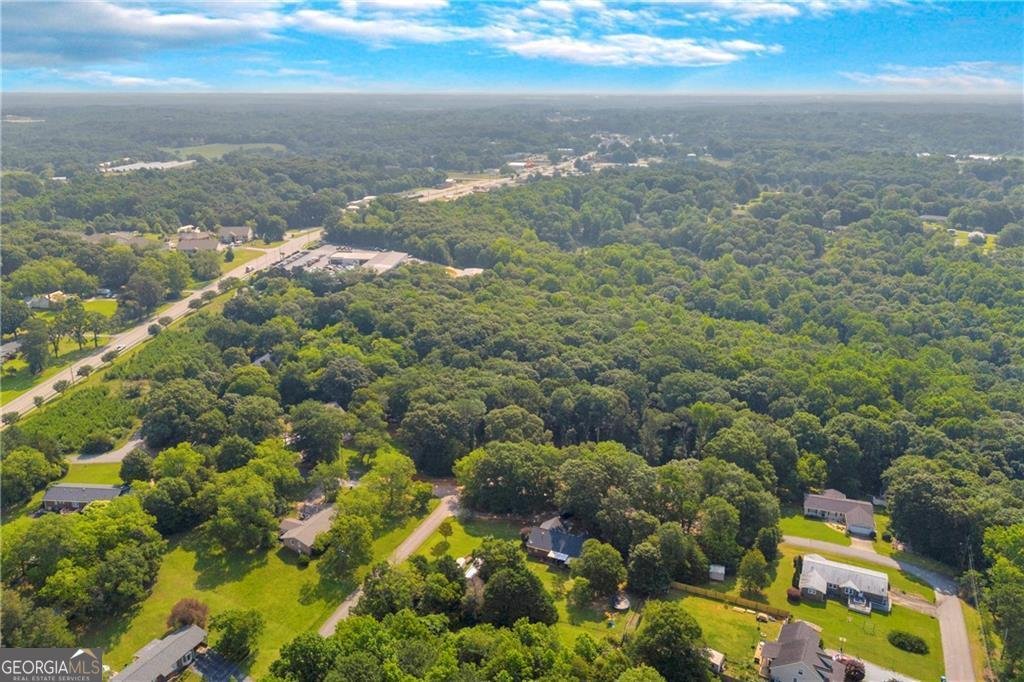 155 Carey Street Franklin Springs - Photo 44