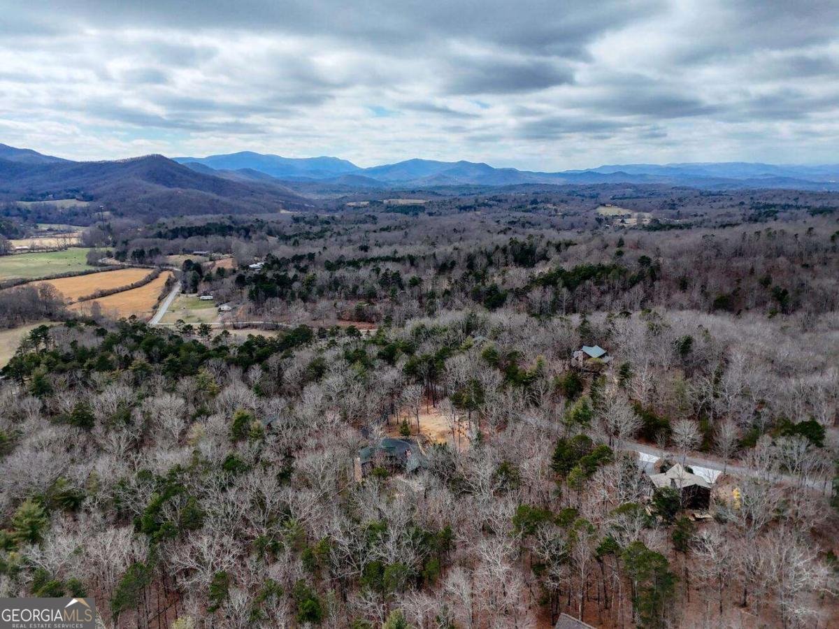 180 Shepherds Ridge Road Morganton - Photo 22