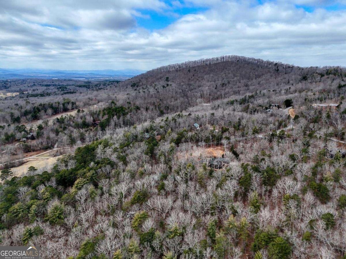 180 Shepherds Ridge Road Morganton - Photo 24