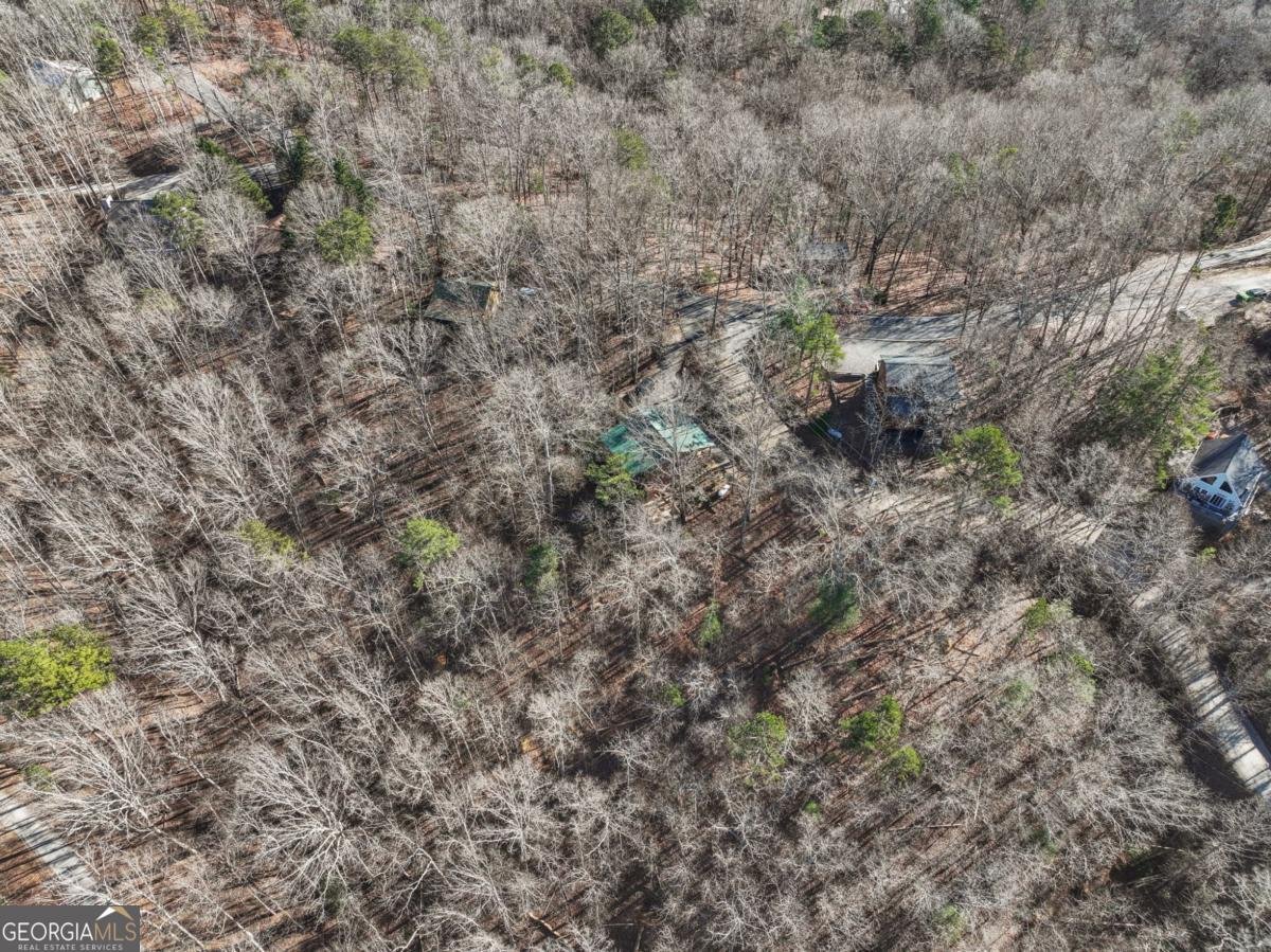 421 Cherokee Court Ellijay - Photo 40