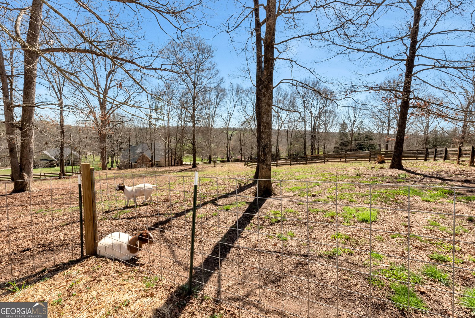 1780 Double Bridge Road Demorest - Photo 35