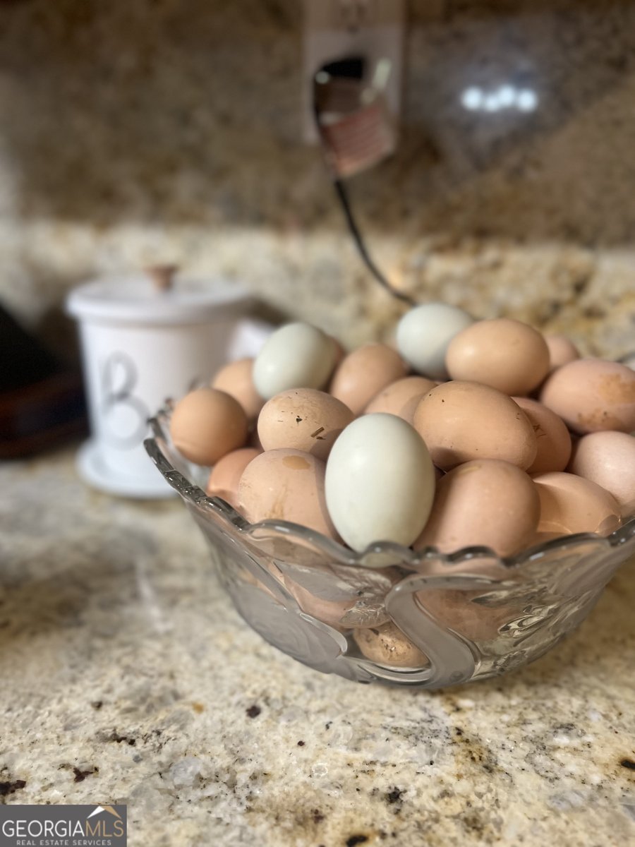 764 Ansley Road Warrenton - Photo 10