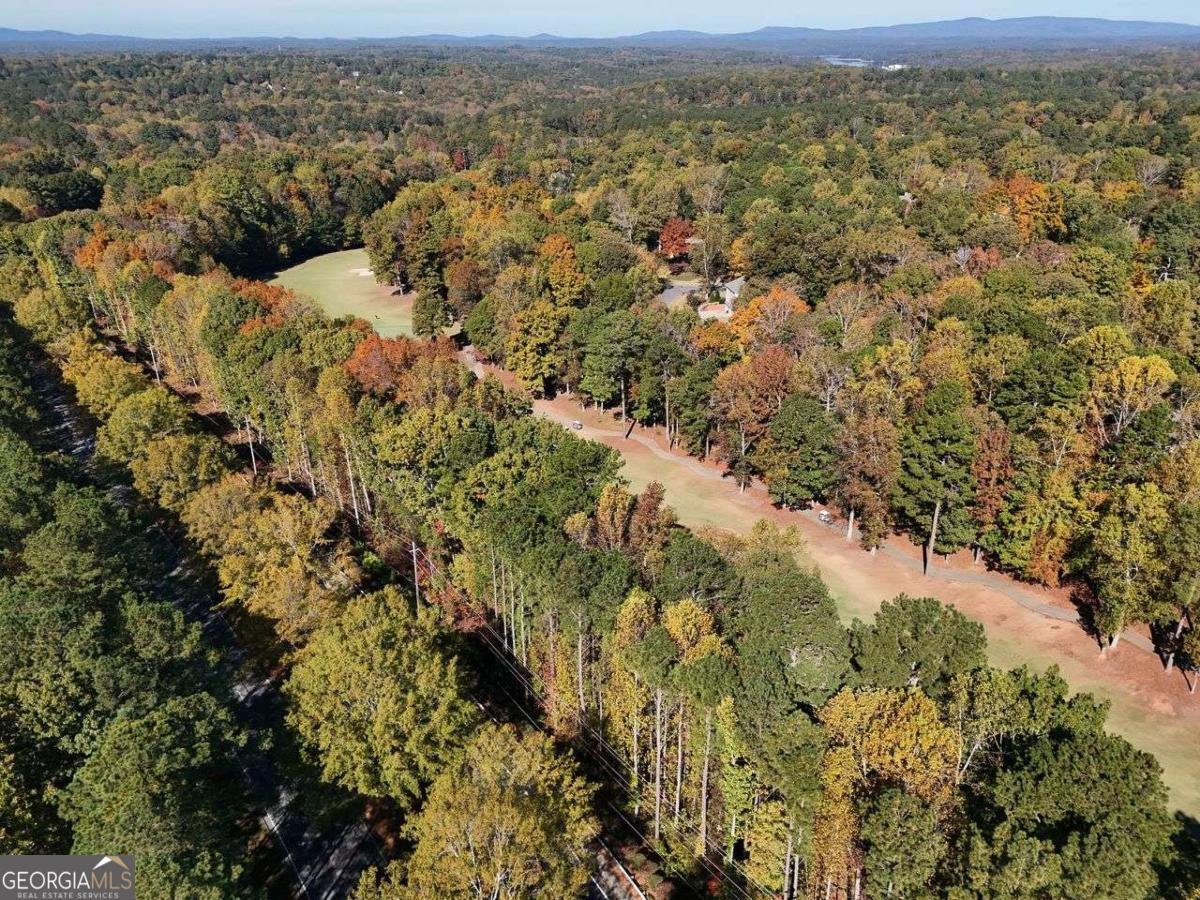 219 Morning Mist Way Woodstock - Photo 68