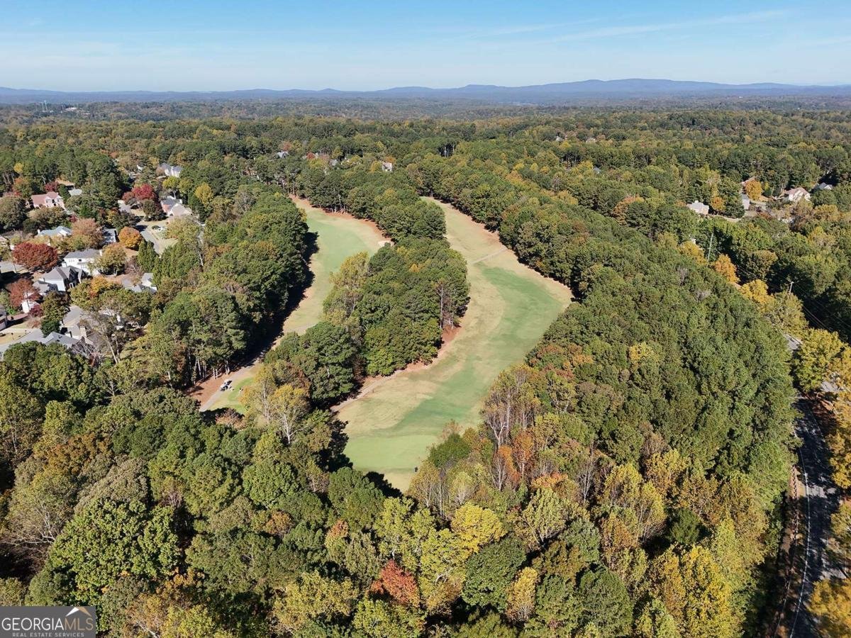 219 Morning Mist Way Woodstock - Photo 69