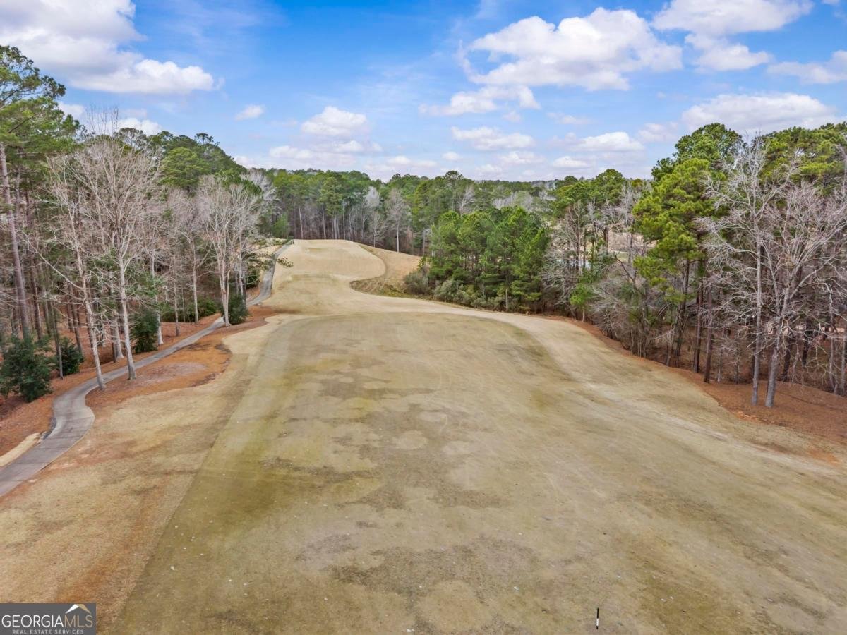 1101 Lockets Trail Greensboro - Photo 60