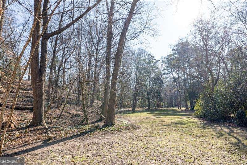 223 Kathryn Avenue Decatur - Photo 35