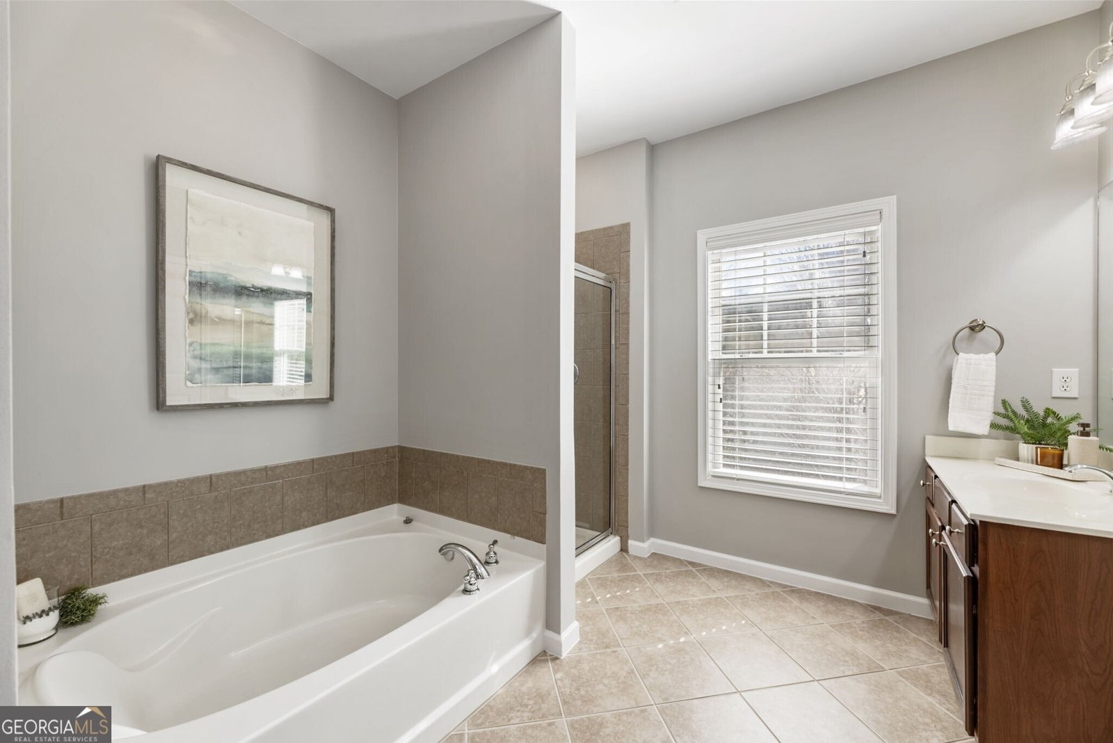 320 Snowgoose Court Alpharetta - Photo 31