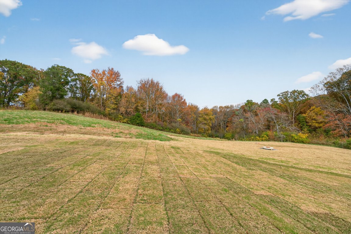 8845 jot em down Road Gainesville - Photo 68